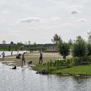 Crescent Park Harderwijk waterberging 2