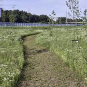 Crescent Park Harderwijk waterberging 7