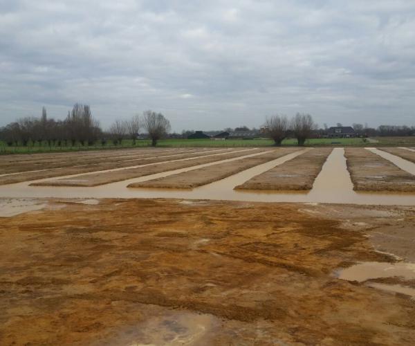 Aanleg vloeivelden en rabattenbos in Wehl